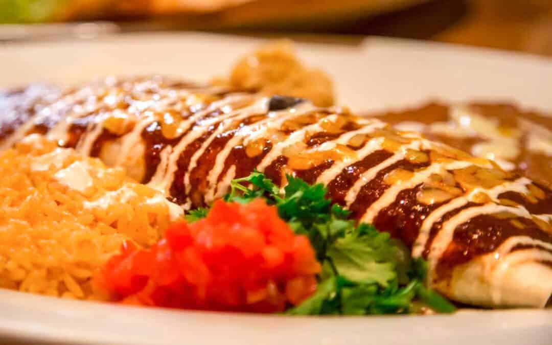 burrito covered in sauce with rice, beans, and salad